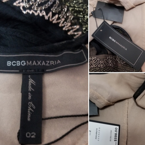 ποΈβ¬οΈπHOST PICKπ BCBGMaxAzria Chiffon Embroidered Ruffle Maxi Dress - Picture 8 of 9